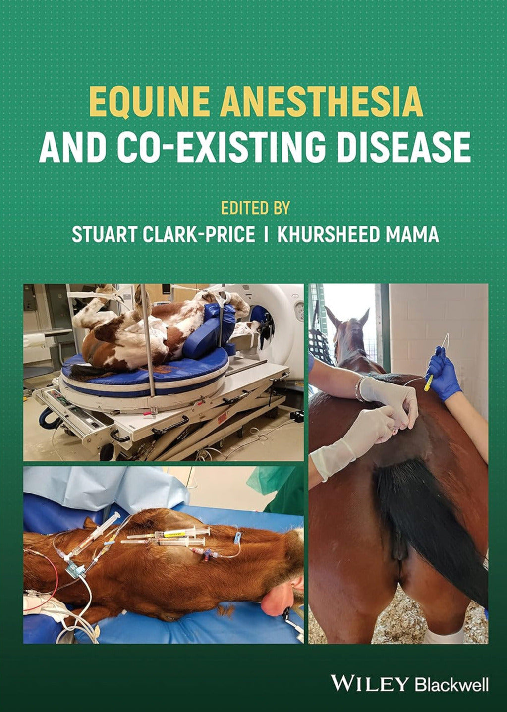 Equine Anesthesia and co-existing disease