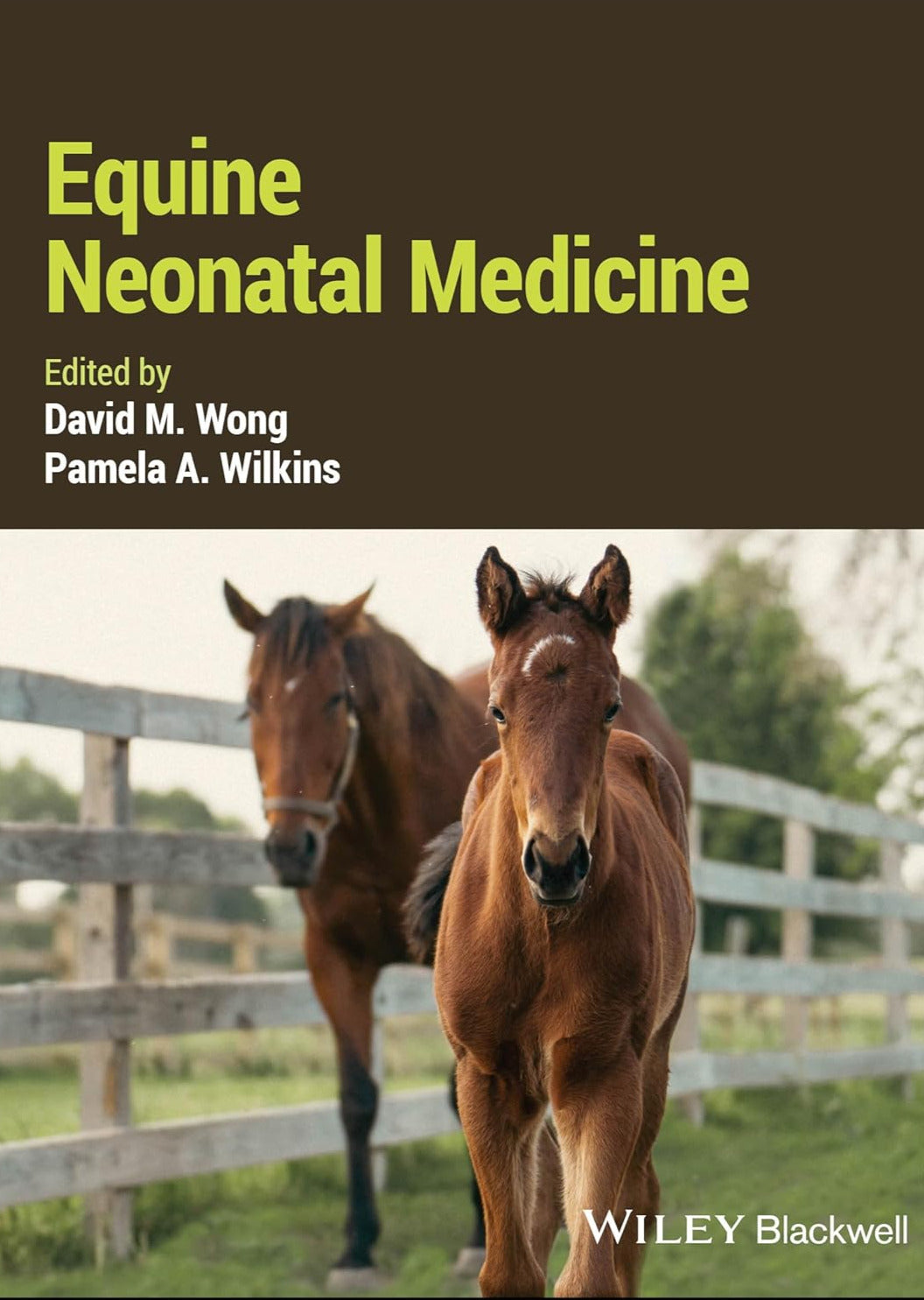 Equine Neonatal Medicine 1. Edit.