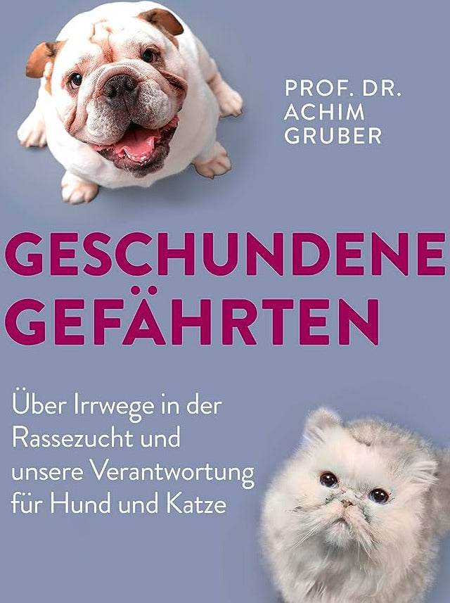 Geschundene Gefährten