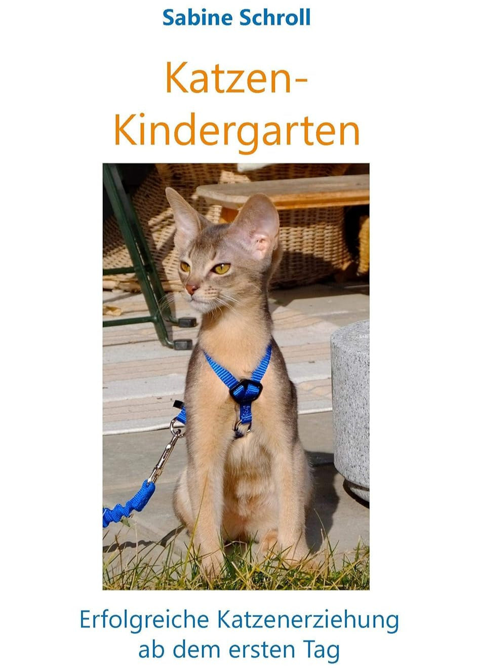 Katzen-Kindergarten