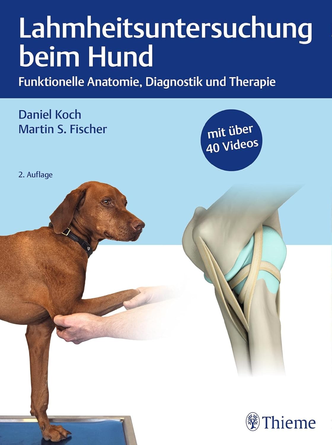 Lahmheitsuntersuchung beim Hund 2. Auflage