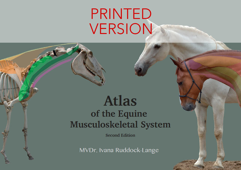 Atlas of the Equine Musculoskeletal System 2nd Edition – Printed Edition