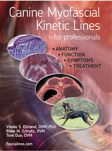 Canine Myofascial Kinetic Lines – for professional