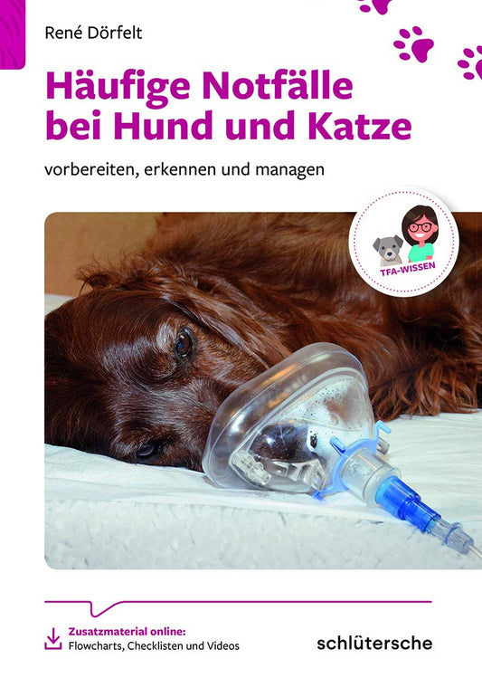 Häufige Notfälle bei Hund und Katze