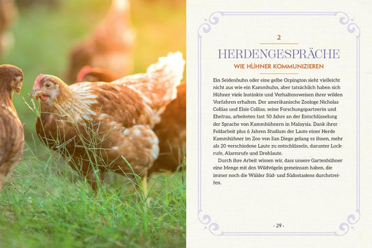 How to Read a Chicken's Mind