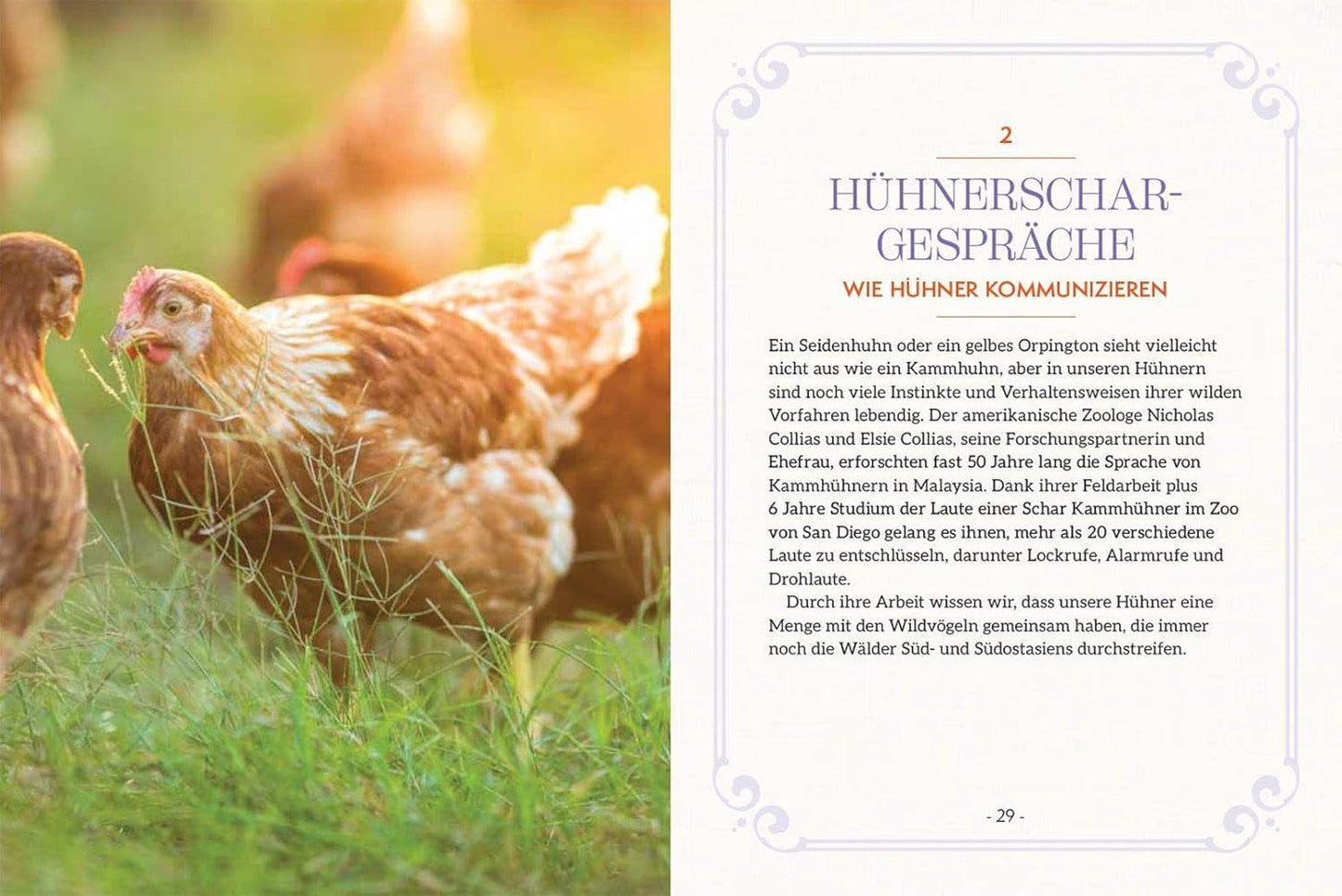 How to Read a Chicken's Mind