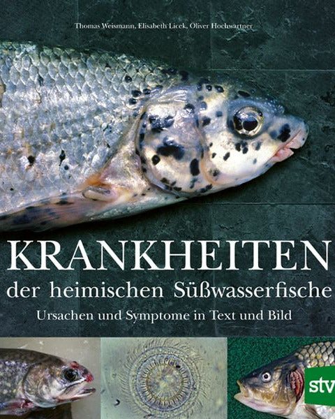 Krankheiten der heimischen Süßwasserfische