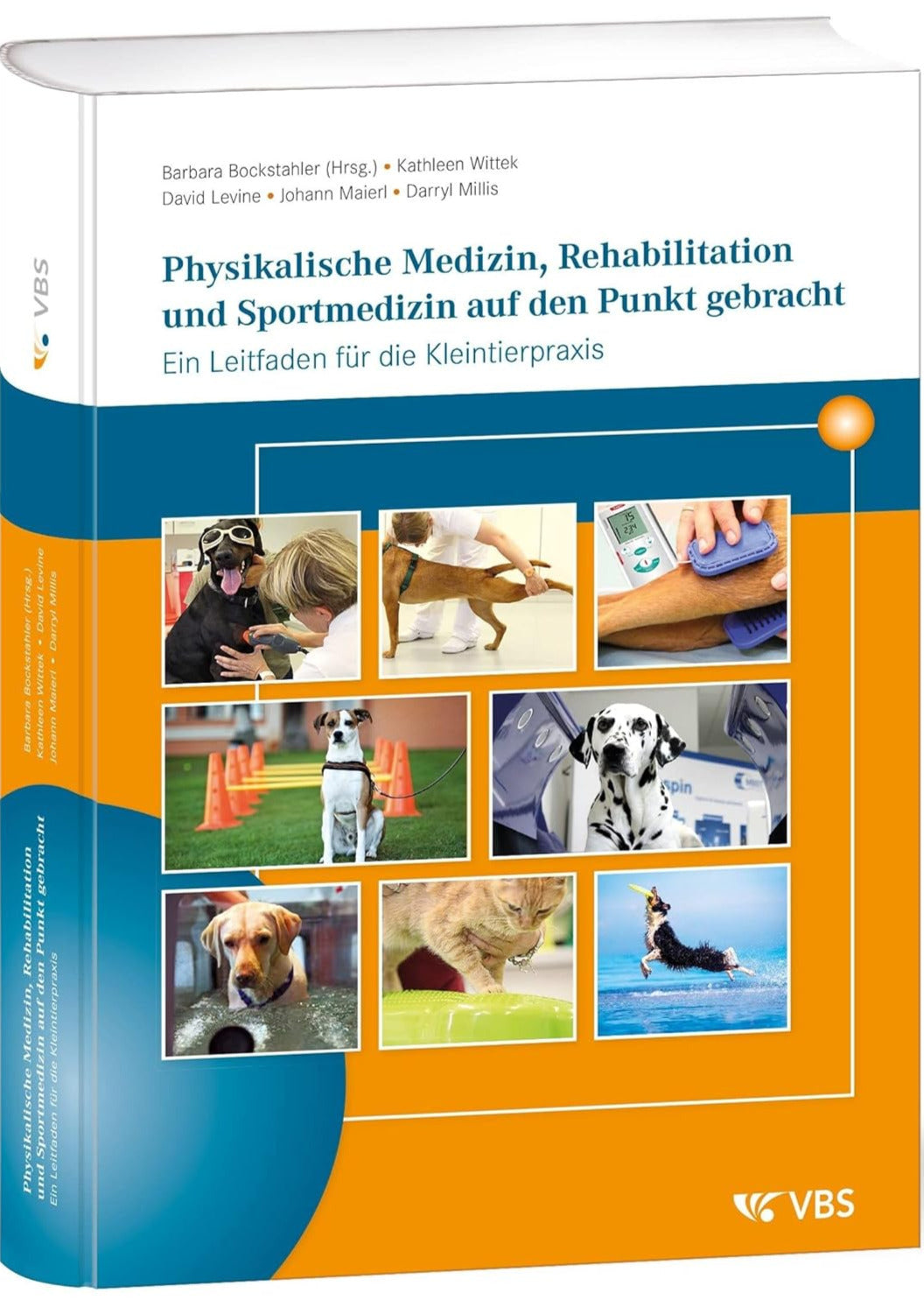 Physikalische Medizin, Rehabilitation u. Sportmedizin auf den Punkt gebracht