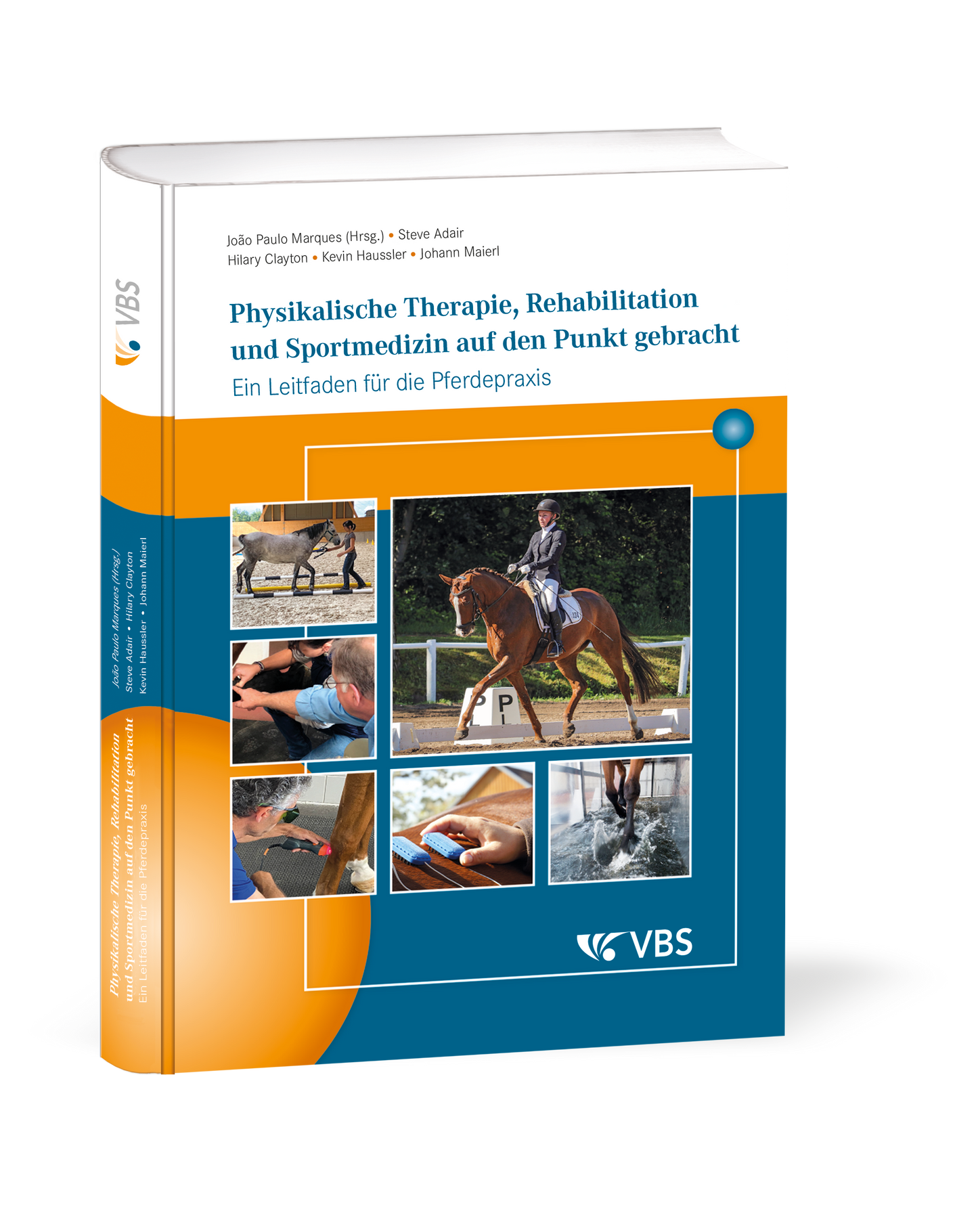 Physikalische Medizin, Rehabilitation und Sportmedizin