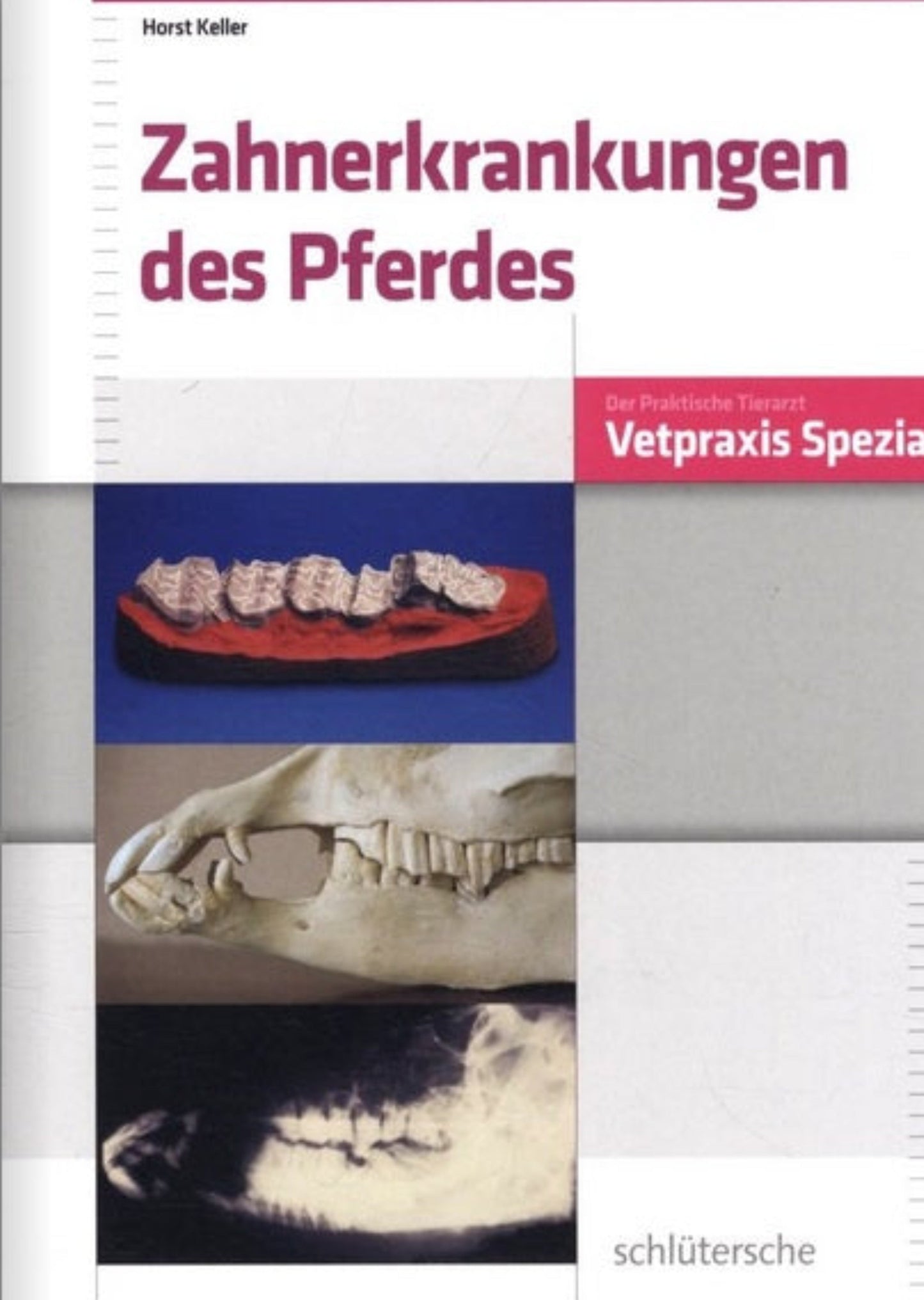 Zahnerkrankungen des Pferdes