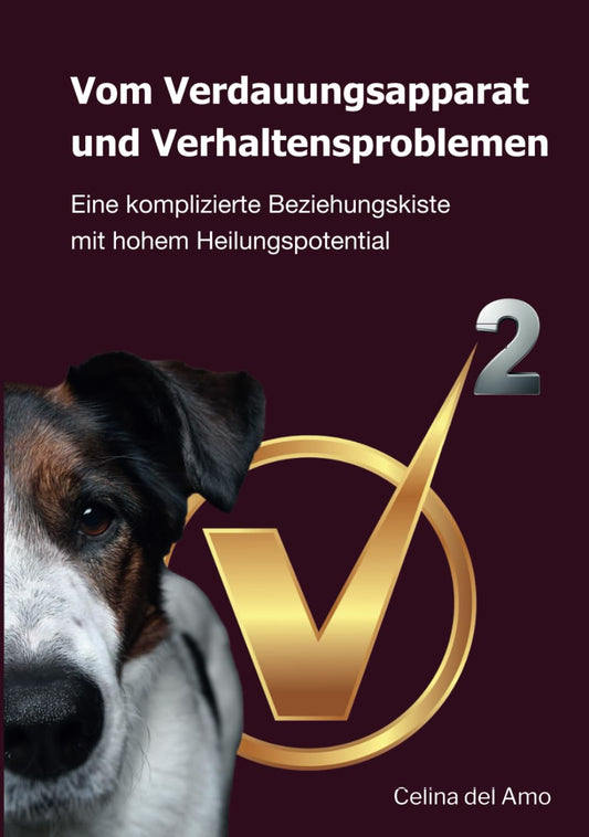 Vom Verdauungsapparat und Verhaltensproblemen: die Gehirn-Darm-Verbindung beim Hund