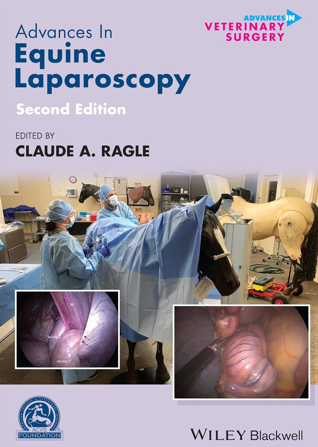 Advances in Equine Laparoscopy 2. Auflage