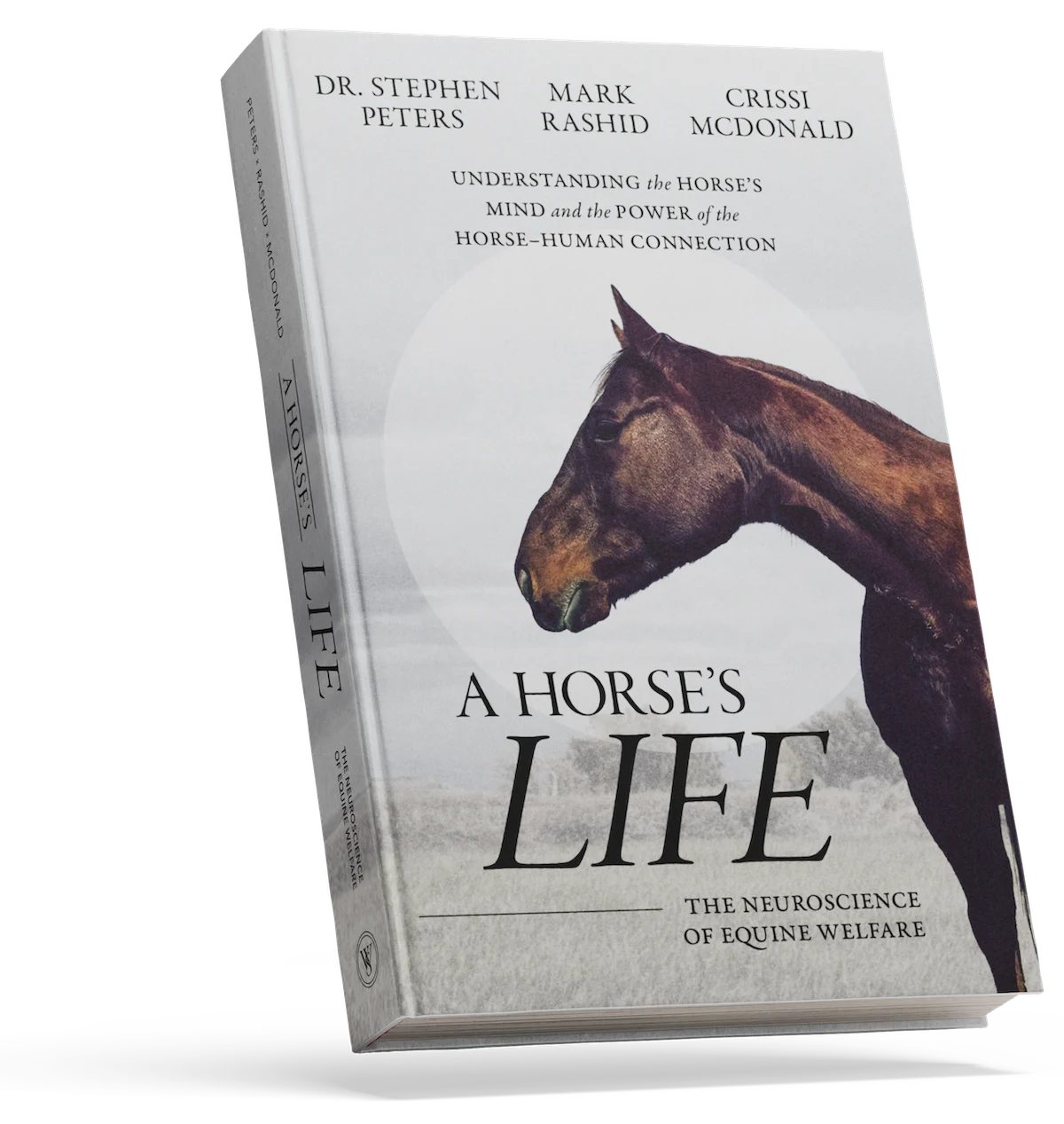 Coming Soon - A Horse's Life