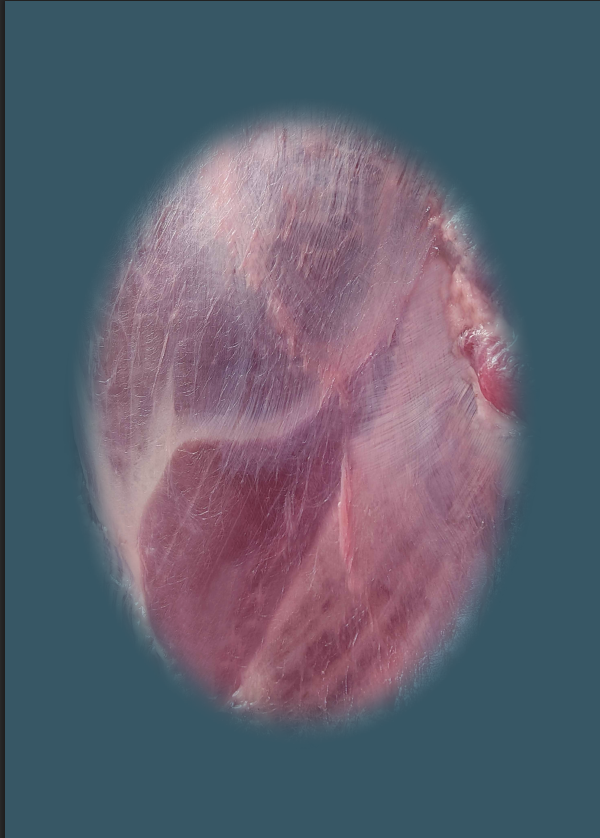 Atlas of the Equine and Canine Fascia System