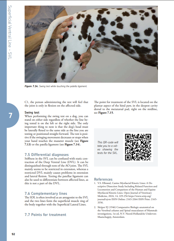 Canine Myofascial Kinetic Lines – for professional